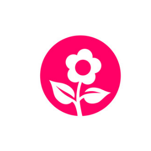my blog