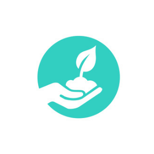 Garden Care and Tips