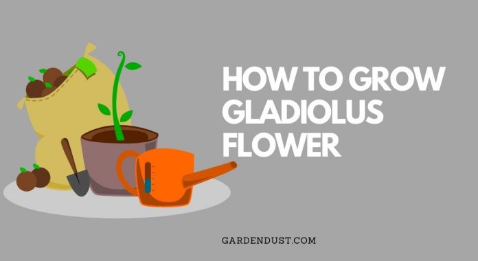 Gardendust.com (4)
