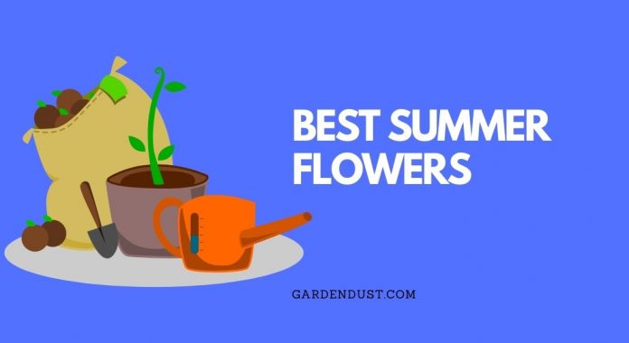 Gardendust.com (5)