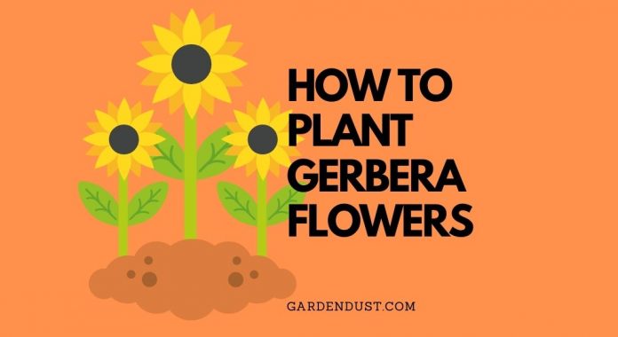 Gardendust.com