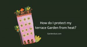 How do I Protect My Terrace Garden from Heat?