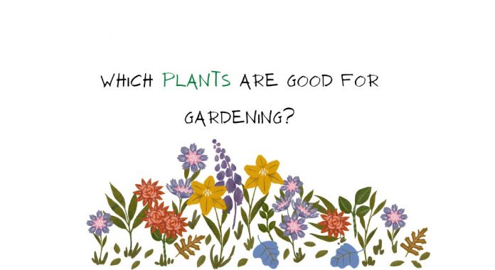 Plants are Good for Gardening