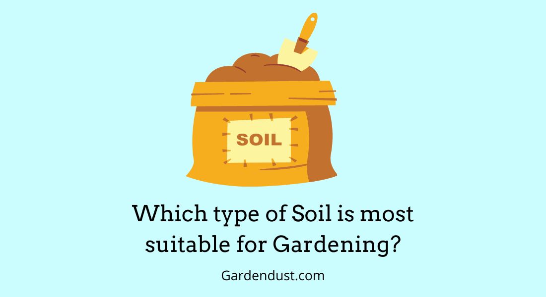 Which Type of Soil is Most Suitable for Gardening?