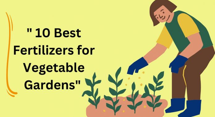 10 Must-Have Tools for a Successful Garden (3)