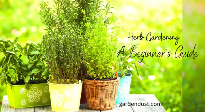 Herb Gardening