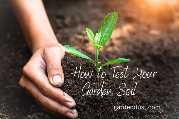 How to Test Your Garden Soil