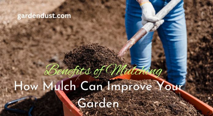 The Benefits of Mulching (1)