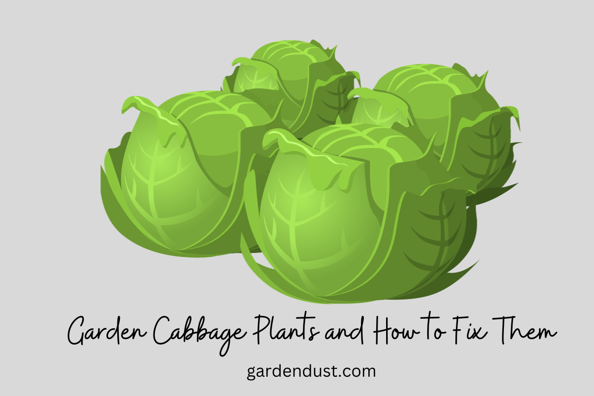 15 Common Problems with Garden Cabbage Plants and How to Fix Them ...