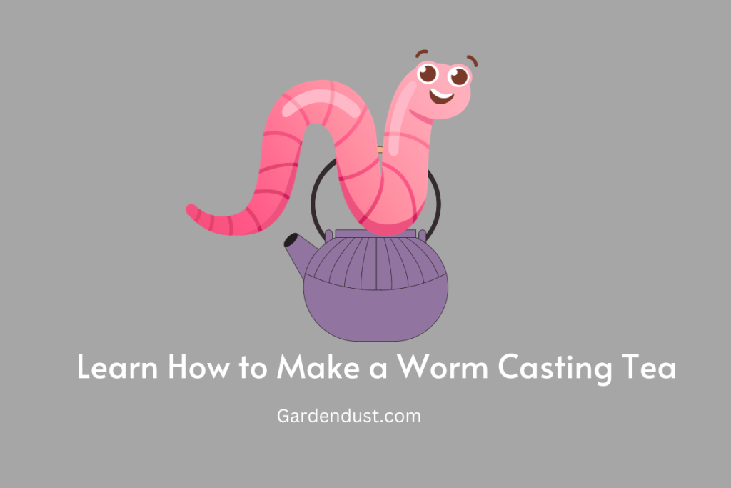 Worm Casting Tea