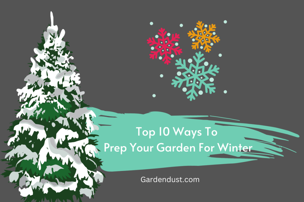 Prep Your Garden for Winter