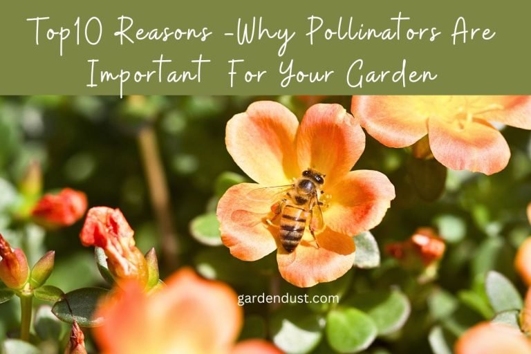 Top10 Reasons -Why Pollinators Are Important For Your Garden - Garden Dust