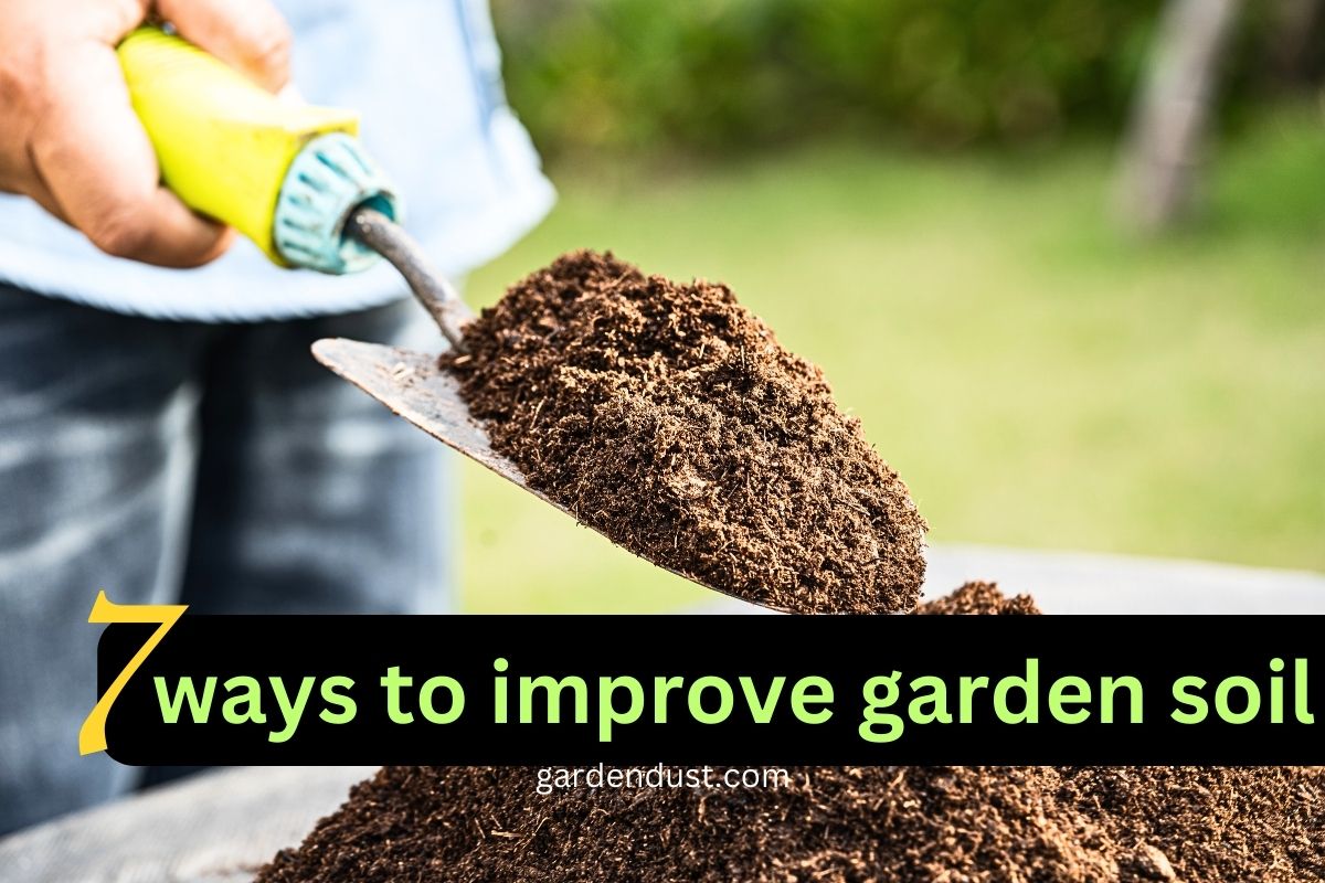 7 ways to improve garden soil Garden Dust