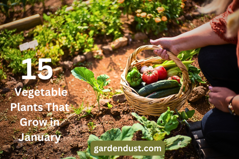 List of vegetables visual data 8