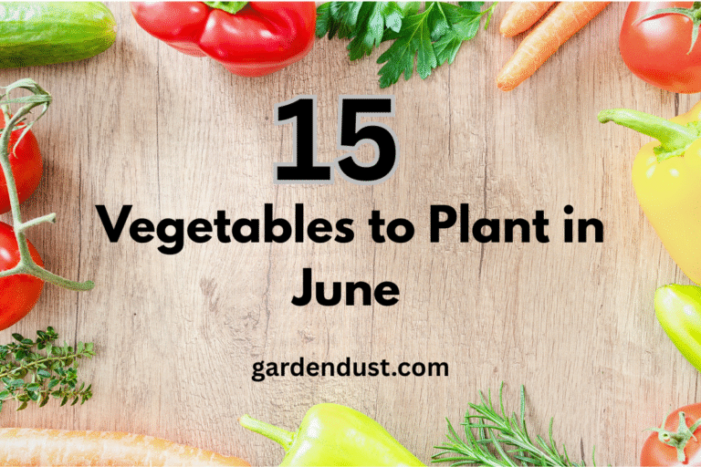 List of vegetables visual data 3